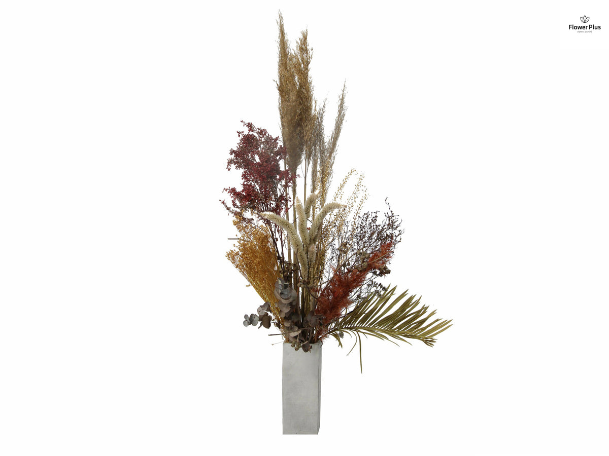 Dried & Natural Flower Plus