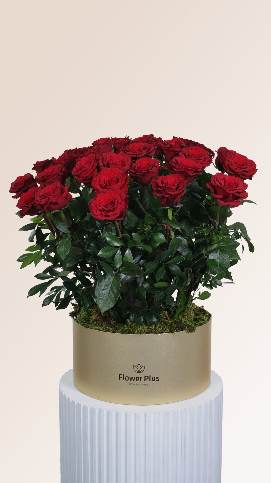 Valentines Specials