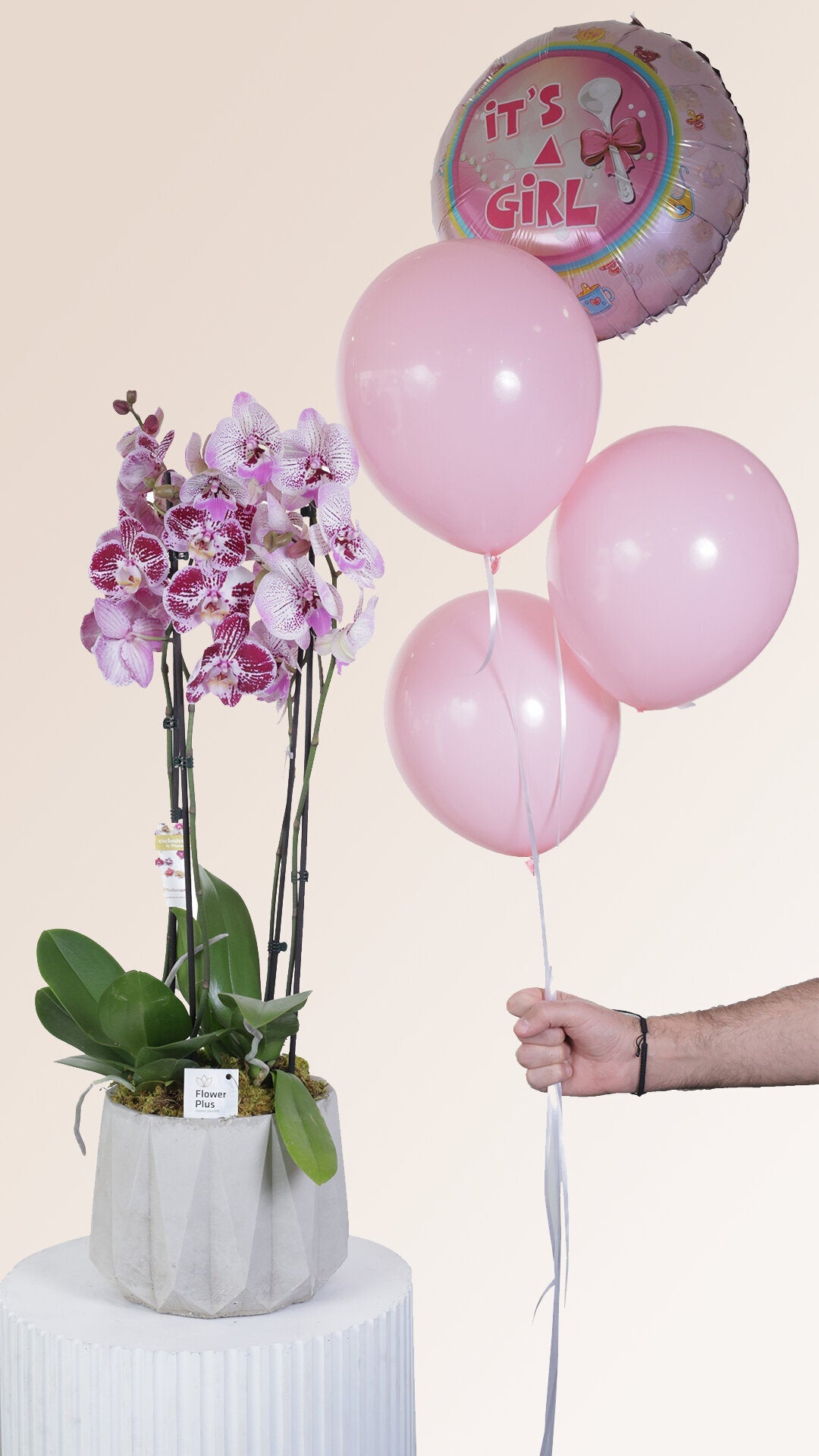Orchid Affair