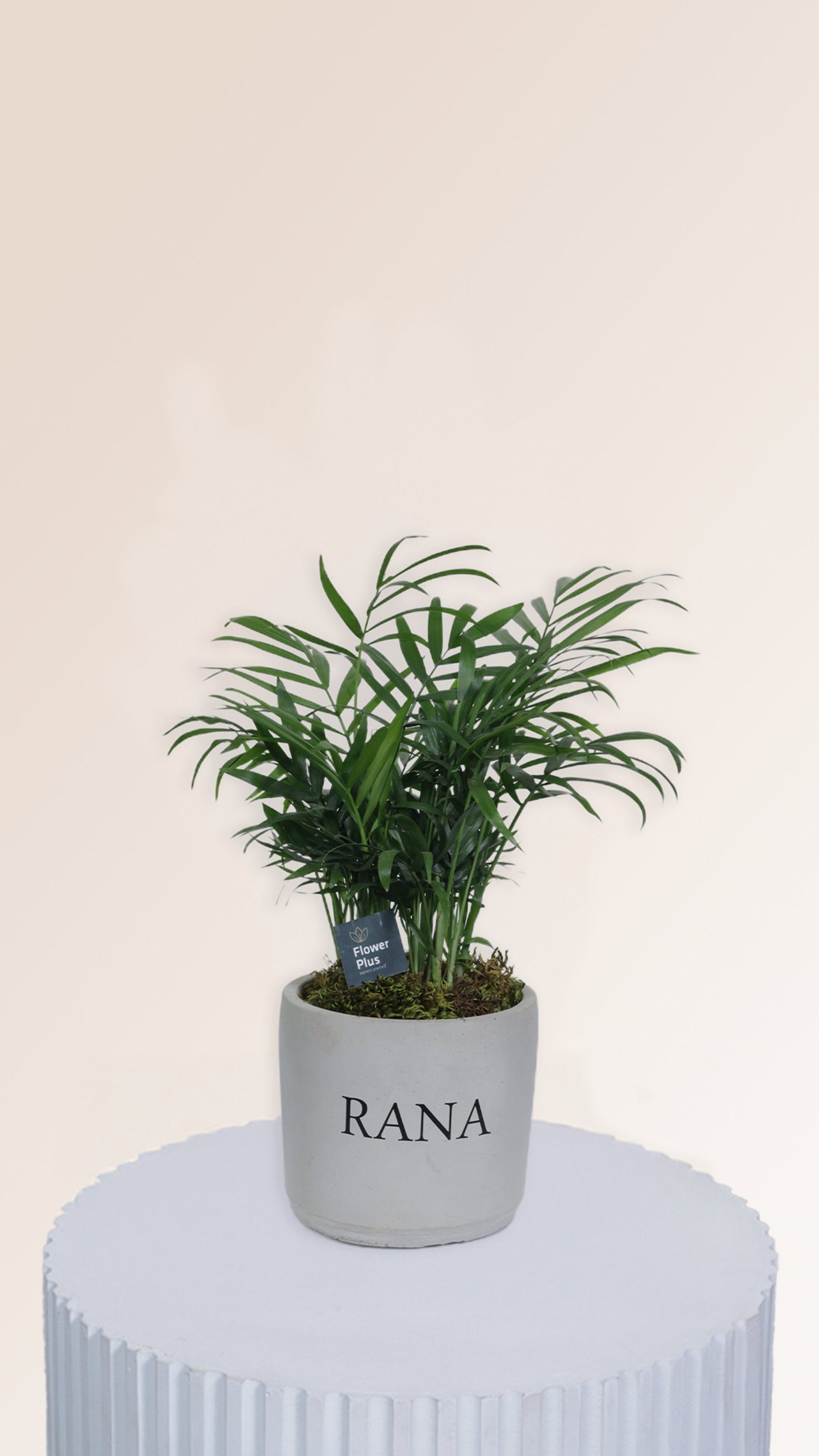 CalligraPot