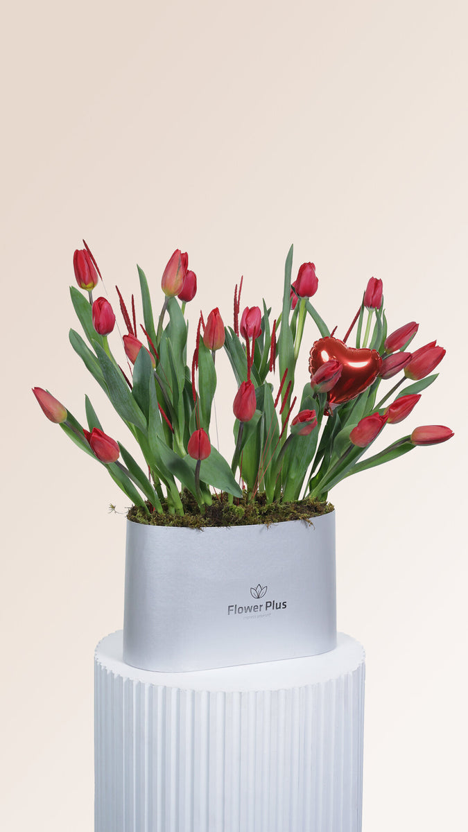Tulips in The Garden – Flower Plus