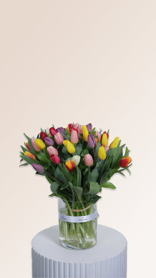 Forty-Eight in Full Bloom